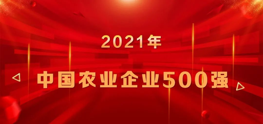 上榜|山東三星集團再登中國農業(yè)企業(yè)500強榜單